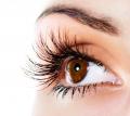 Уход за ресницами Уход за ресницами